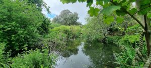 A Rare and Versatile Countryside Retreat – Full of Character and Potential