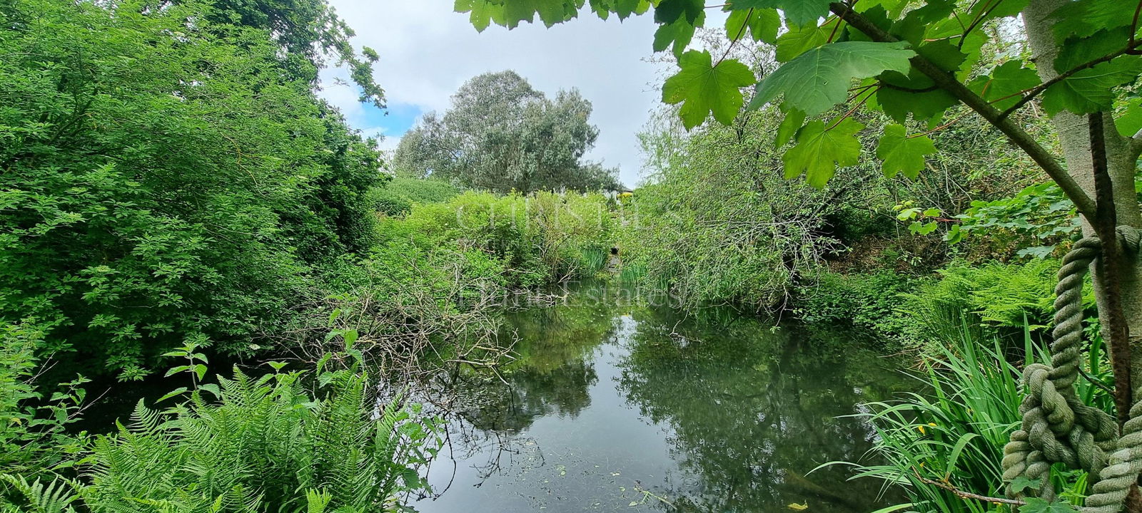 6 Bedroom Single Family Home/House's Image 27