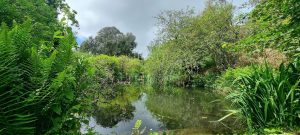 A Rare and Versatile Countryside Retreat – Full of Character and Potential