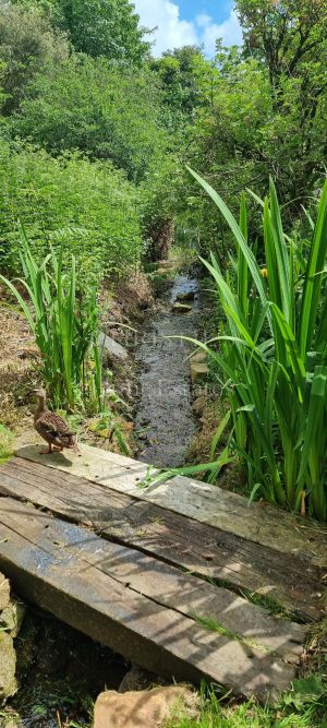 A Rare and Versatile Countryside Retreat – Full of Character and Potential