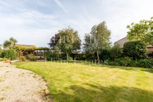 Delightful Detached Country Cottage