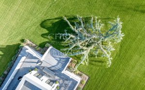 Private Estate Lavishly Restored