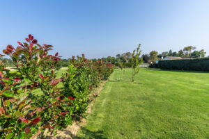 COUNTRY HOME WITH GATED ENTRANCE, GARDEN AND POOL