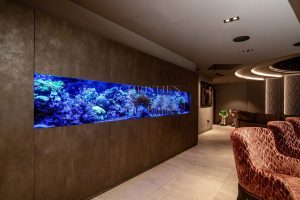 Stunning Sea Views Over Ouaisne Bay