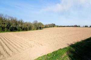 Substantial Granite Farm Complex With Extensive Land In A Delightful Rural Setting