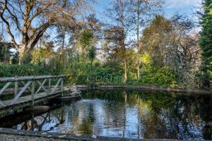 Beautiful Home Set in Picturesque Grounds