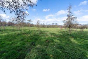 Beautiful Home Set in Picturesque Grounds