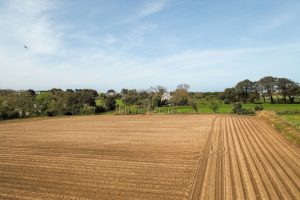 A Rare and Versatile Countryside Retreat – Full of Character and Potential