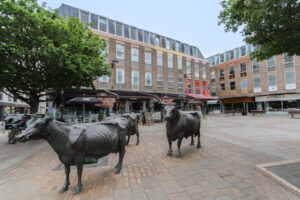 Modern One Bedroom Apartment