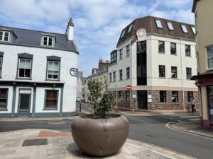 Modern One Bedroom Apartment
