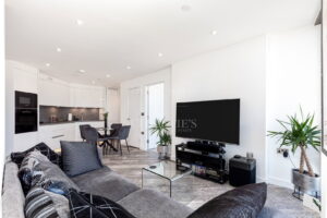 Sixth Floor One-Bedroom Apartment, Horizon Development