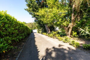 Three Bedroom Apartment With Parking