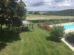 Exceptional Loire Valley Estate with Character G&icirc;te Business, France