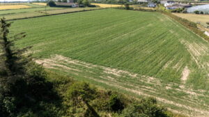 Large Development Opportunity