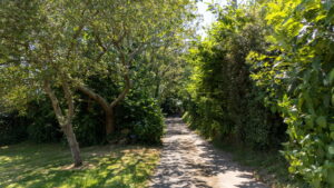 GRANITE FARMHOUSE IN SUPERB COUNTRYSIDE SETTING FOR MODERNISATION