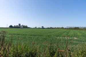 Large Development Opportunity