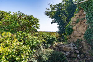 Large Development Opportunity