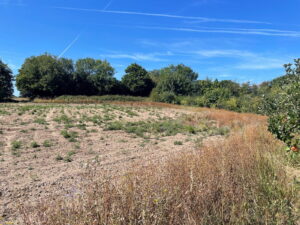Granite Outbuilding for Potential Development and Adjoining 2.2 v Equine Approved Field