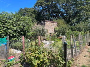 Granite Outbuilding for Potential Development and Adjoining 2.2 v Equine Approved Field