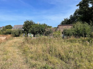 Granite Outbuilding for Potential Development and Adjoining 2.2 v Equine Approved Field